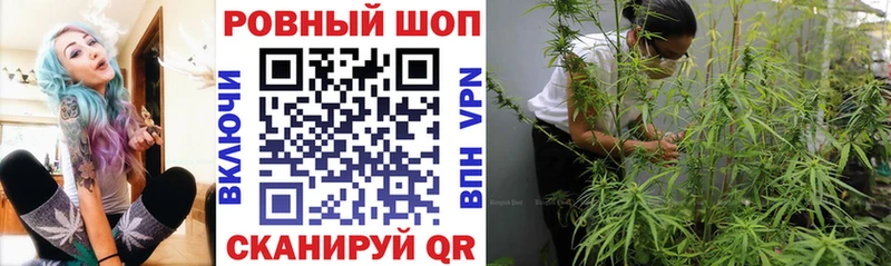 Сколько стоит Сланцы Псилоцибиновые грибы А ПВП Меф мяу мяу Кокаин ТГК ГАШИШ