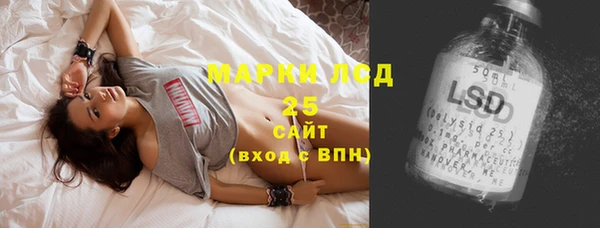 соль ск Белокуриха