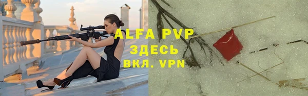 соль ск Белокуриха
