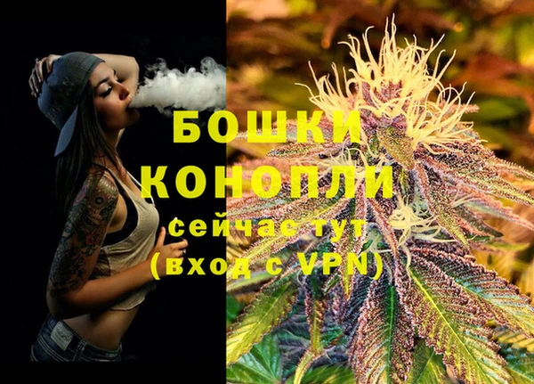 соль ск Белокуриха