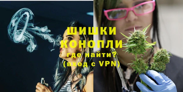 гашик Богородск