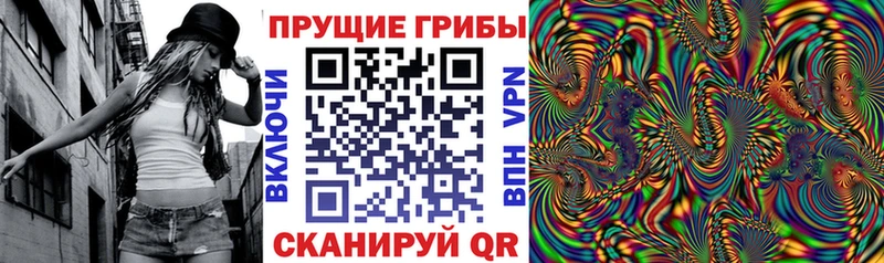 ссылка на мегу вход  Сланцы  Псилоцибиновые грибы Psilocybe  продажа наркотиков 