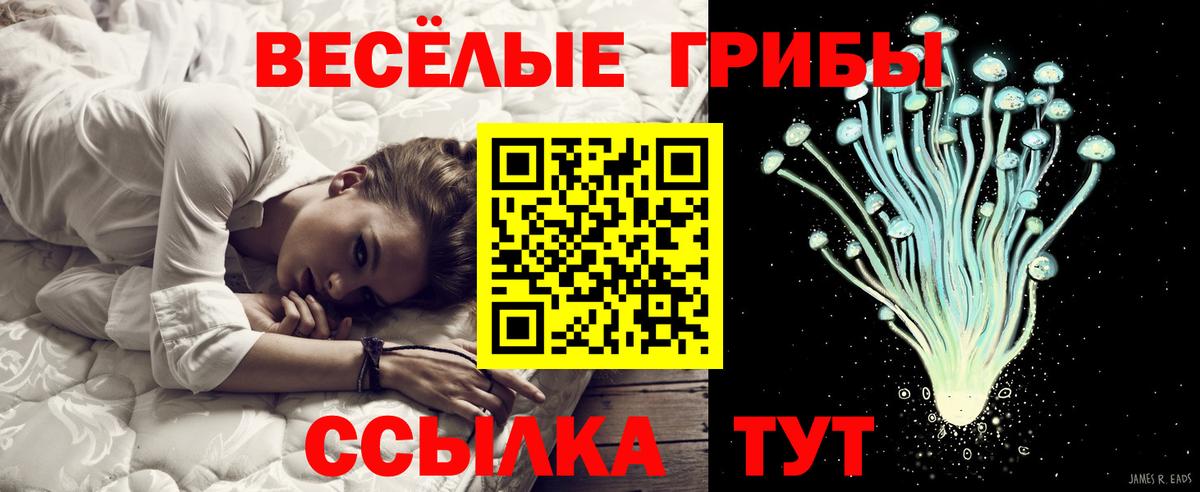Псилоцибиновые грибы Magic Shrooms Сланцы