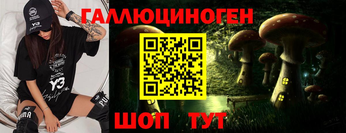Гашиш Сланцы