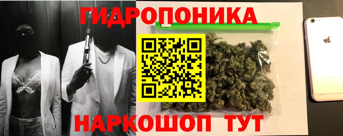 Каннабис конопля Сланцы